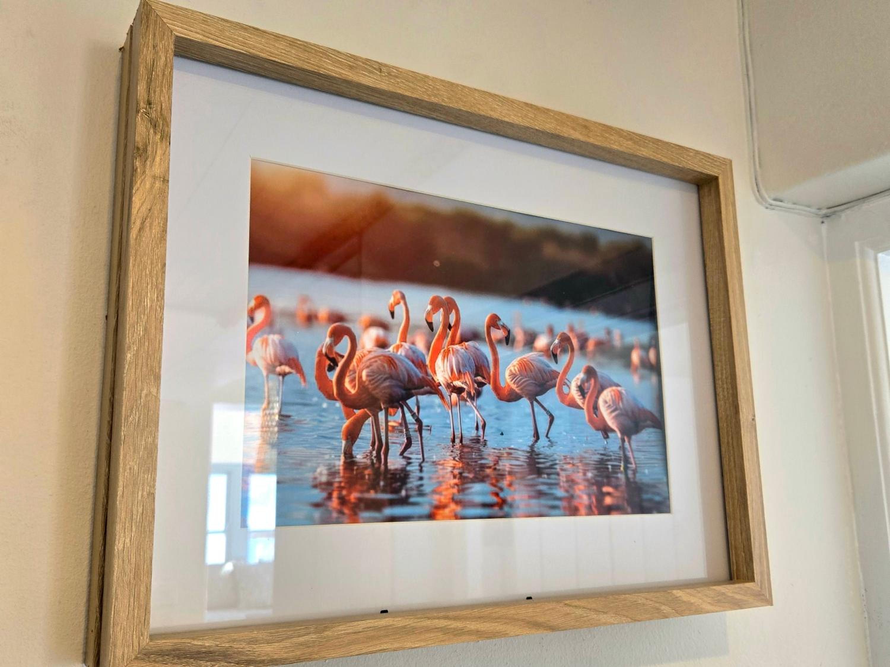 Flamink Beach View Cottage in Paternoster 16/50