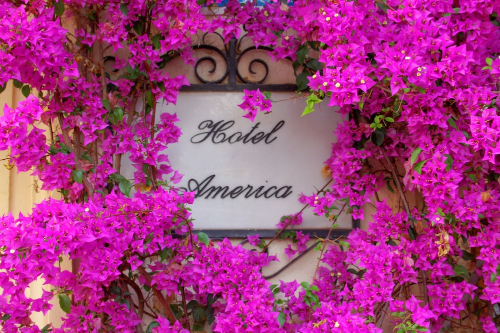 Hotel America 56/60