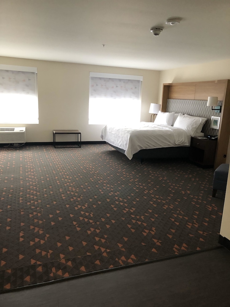 Holiday Inn & Suites Mount Pleasant 19/64
