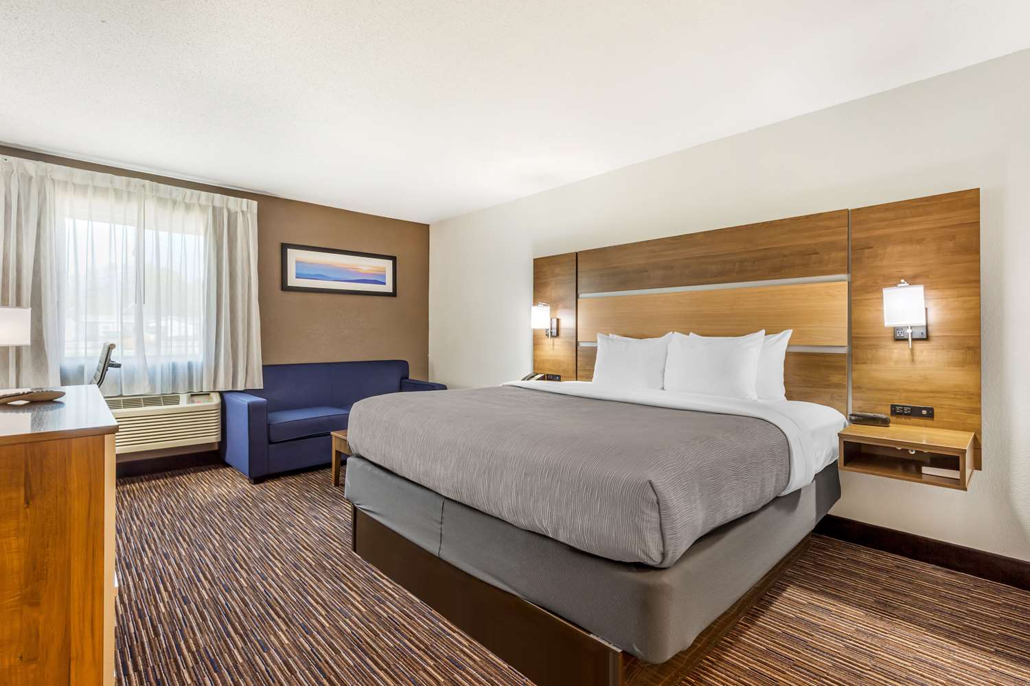 Room, King Bed