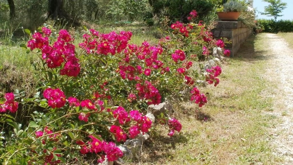 Agriturismo Le Quattro Stagioni 44/49