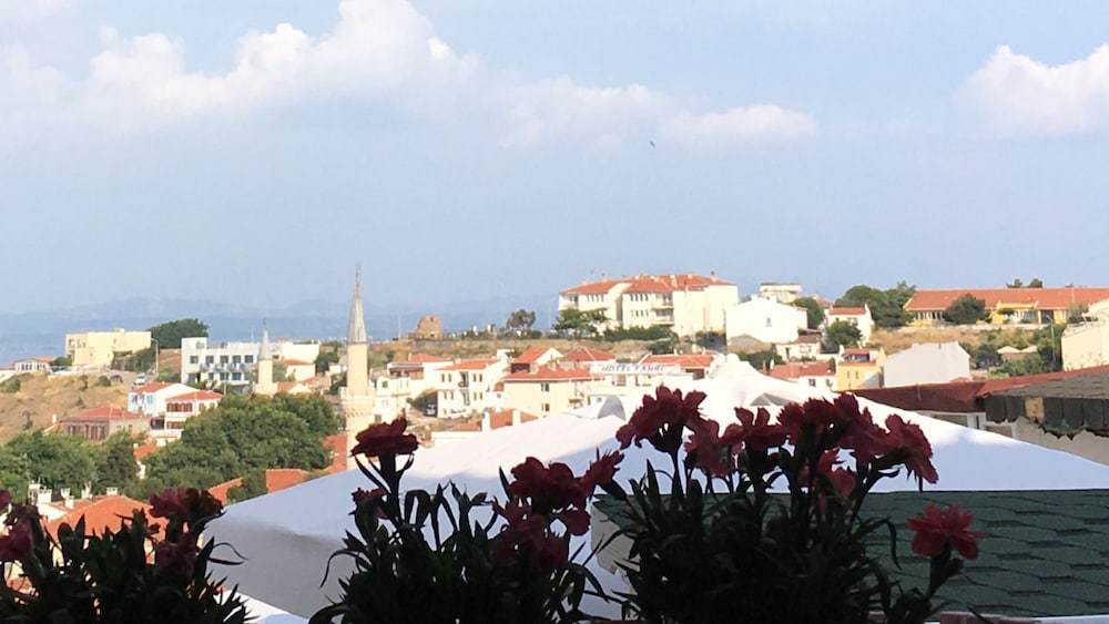 Bozcaada Denizyildizi Otel 39/44