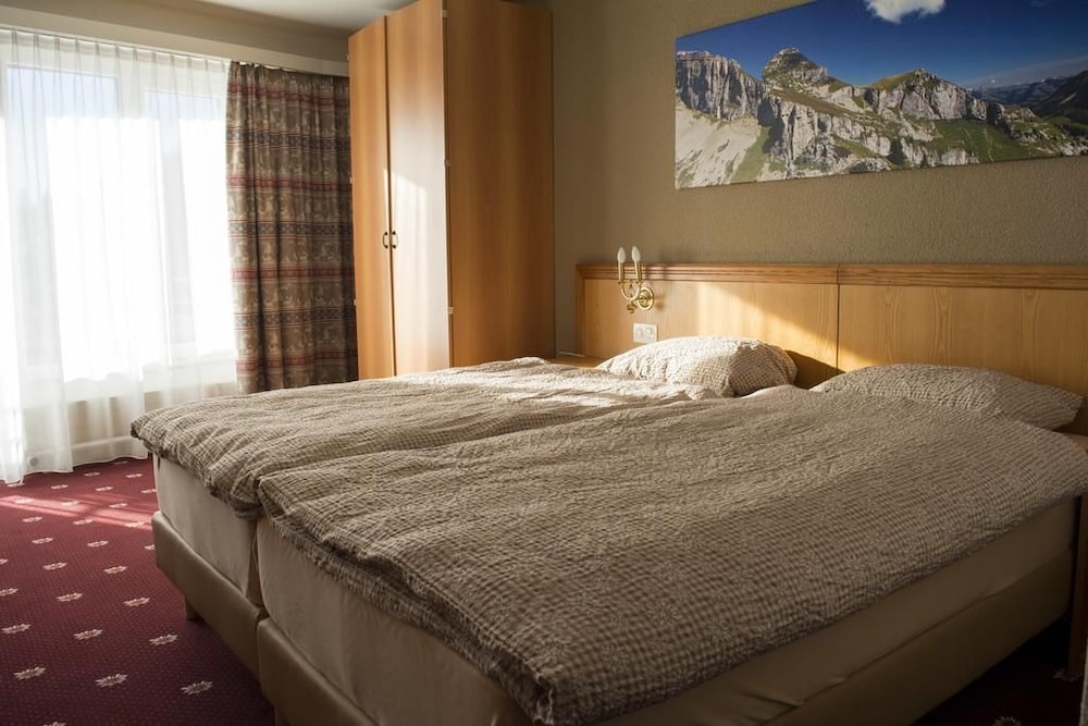 Alpine Classic Hotel 12/39