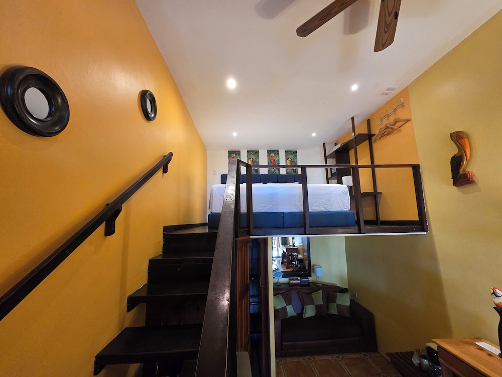 Hotel La Palapa 47/76