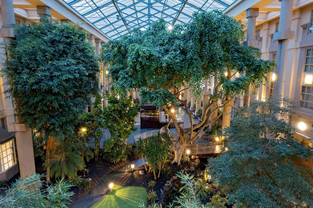 Hyatt Regency Greenwich 33/62