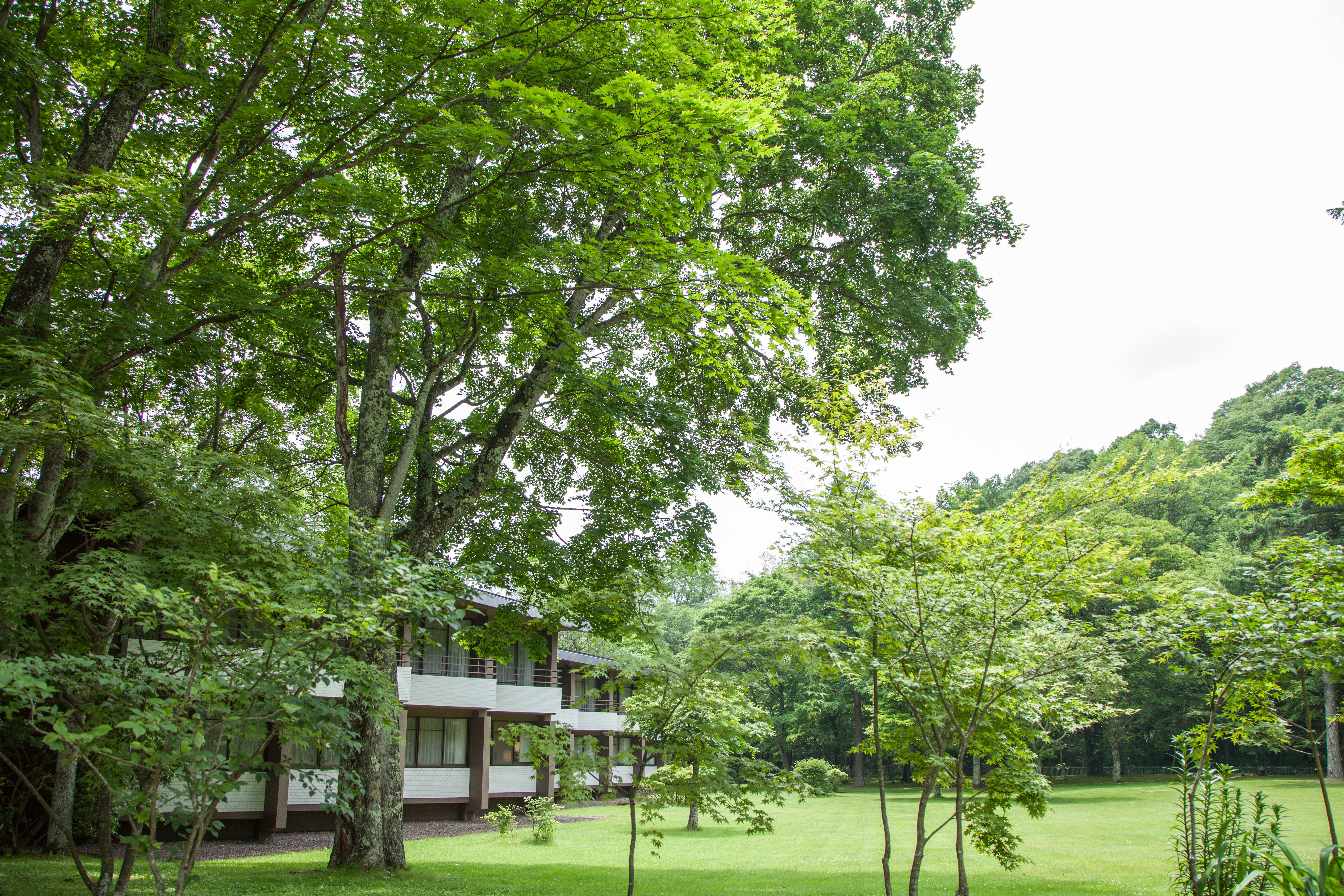 Hotel Kajima No Mori 38/50