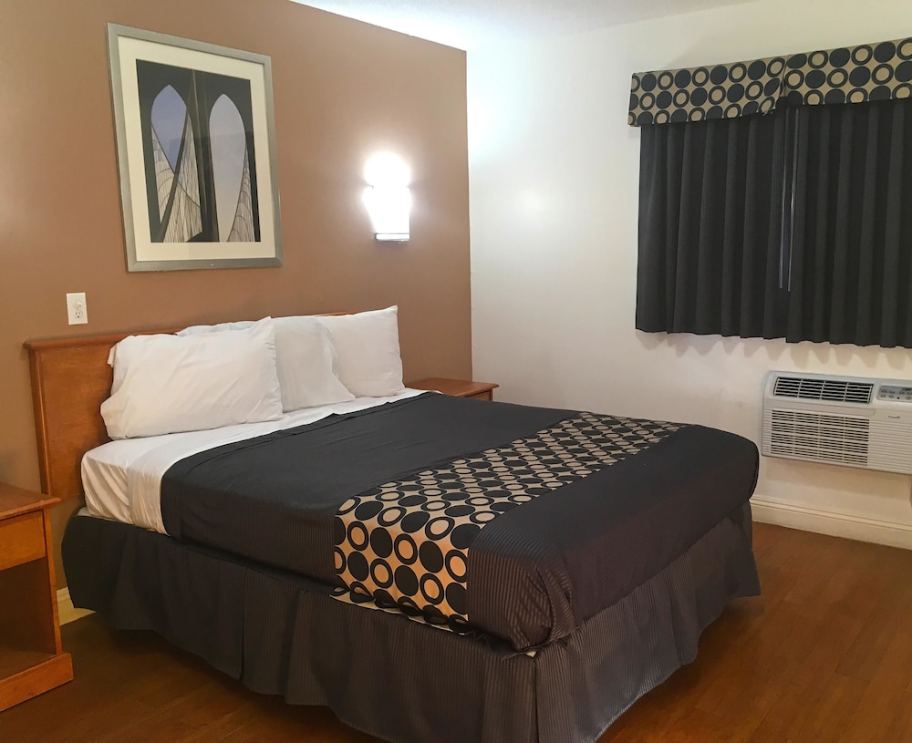 Room, King Bed