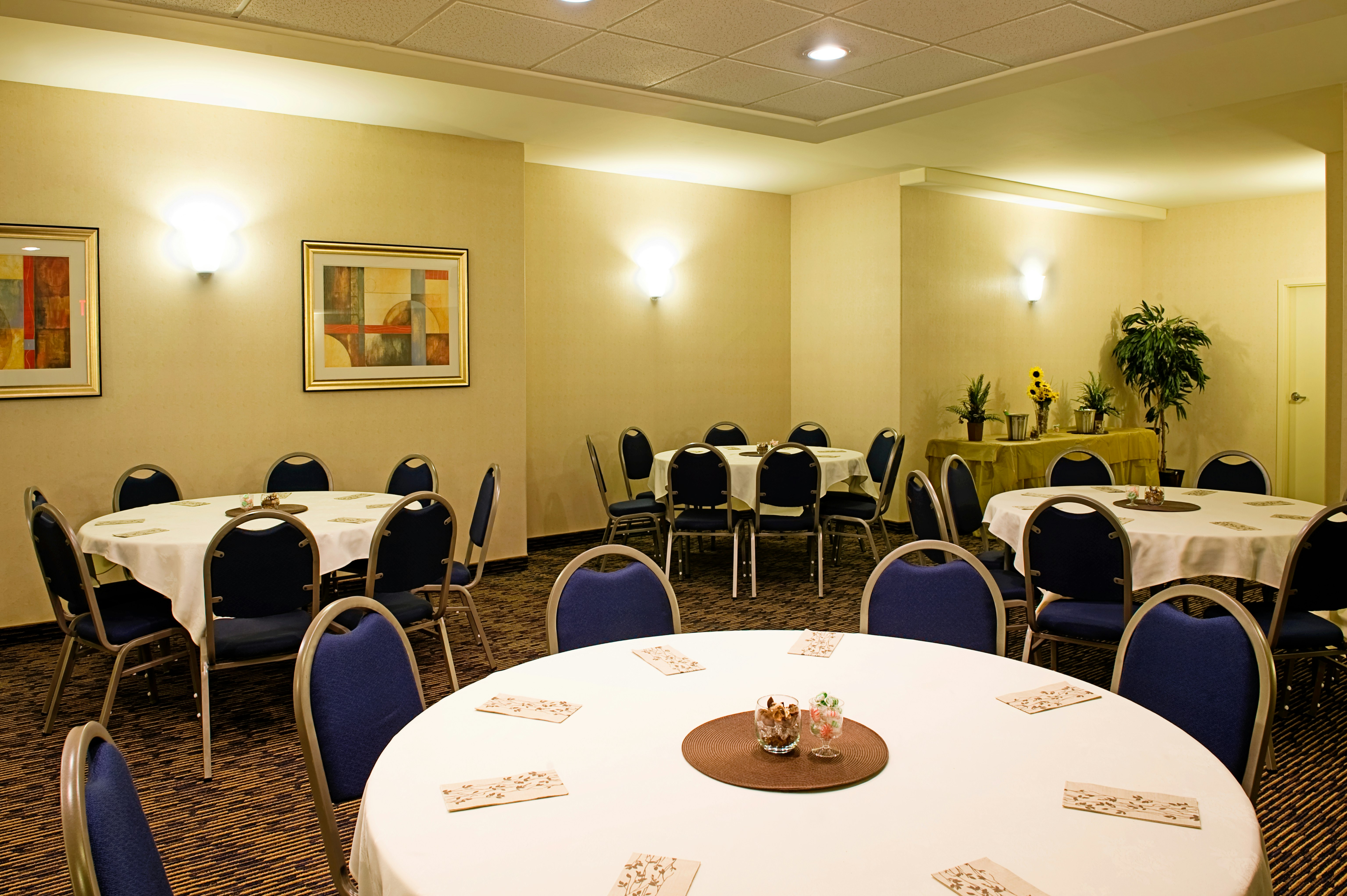 Holiday Inn Express Suites South 55/73