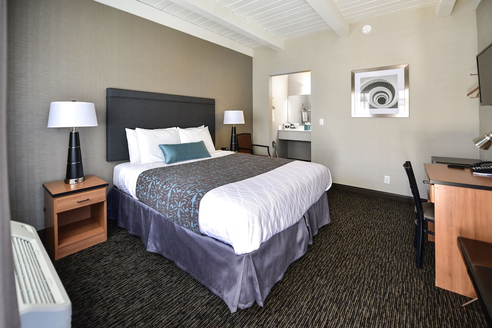 City Center Inn and Suites 12/65