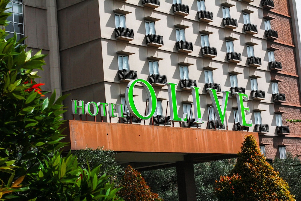 Hotel Olive 5/52