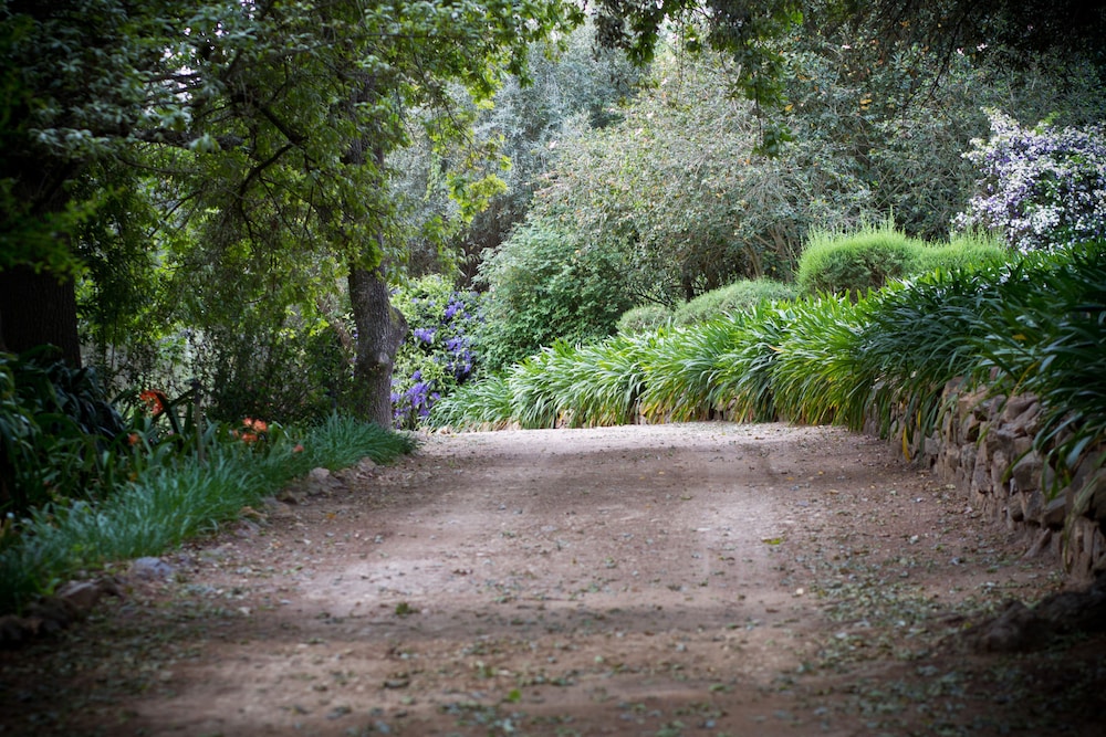 Bartholomeus Klip Farmhouse 28/35