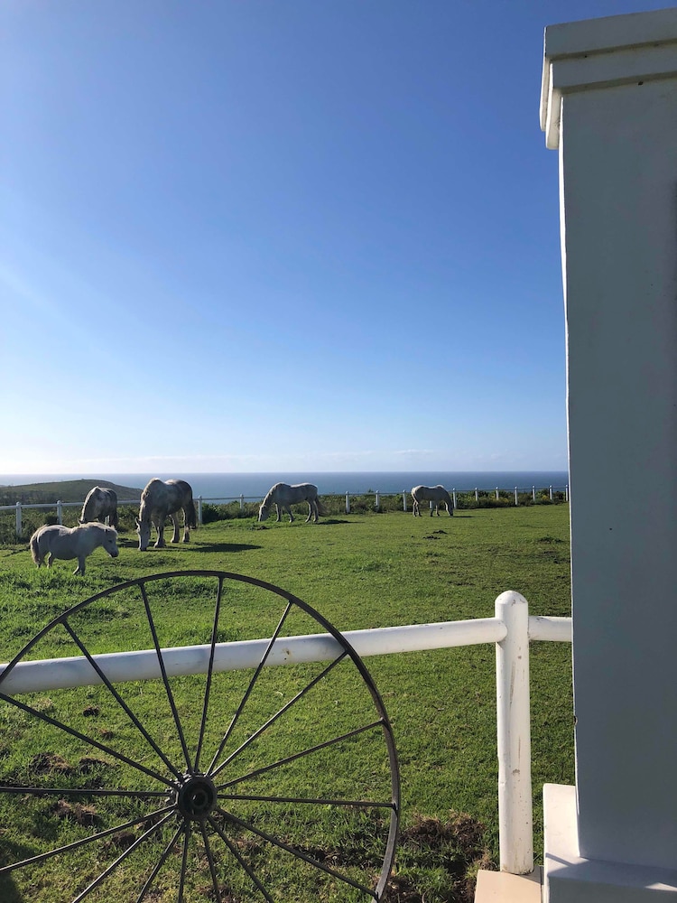 T'niqua Stable Inn 37/50