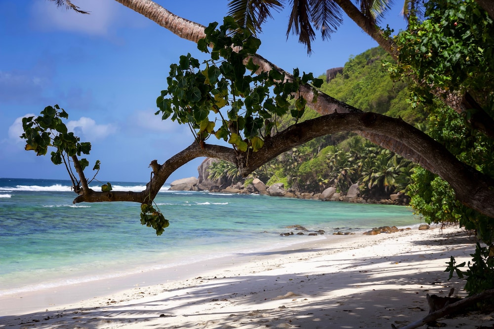 SURFERS SELF CATERING CHALETS 22/31