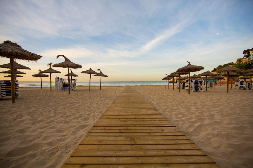 Be Live Experience Costa Palma 67/71