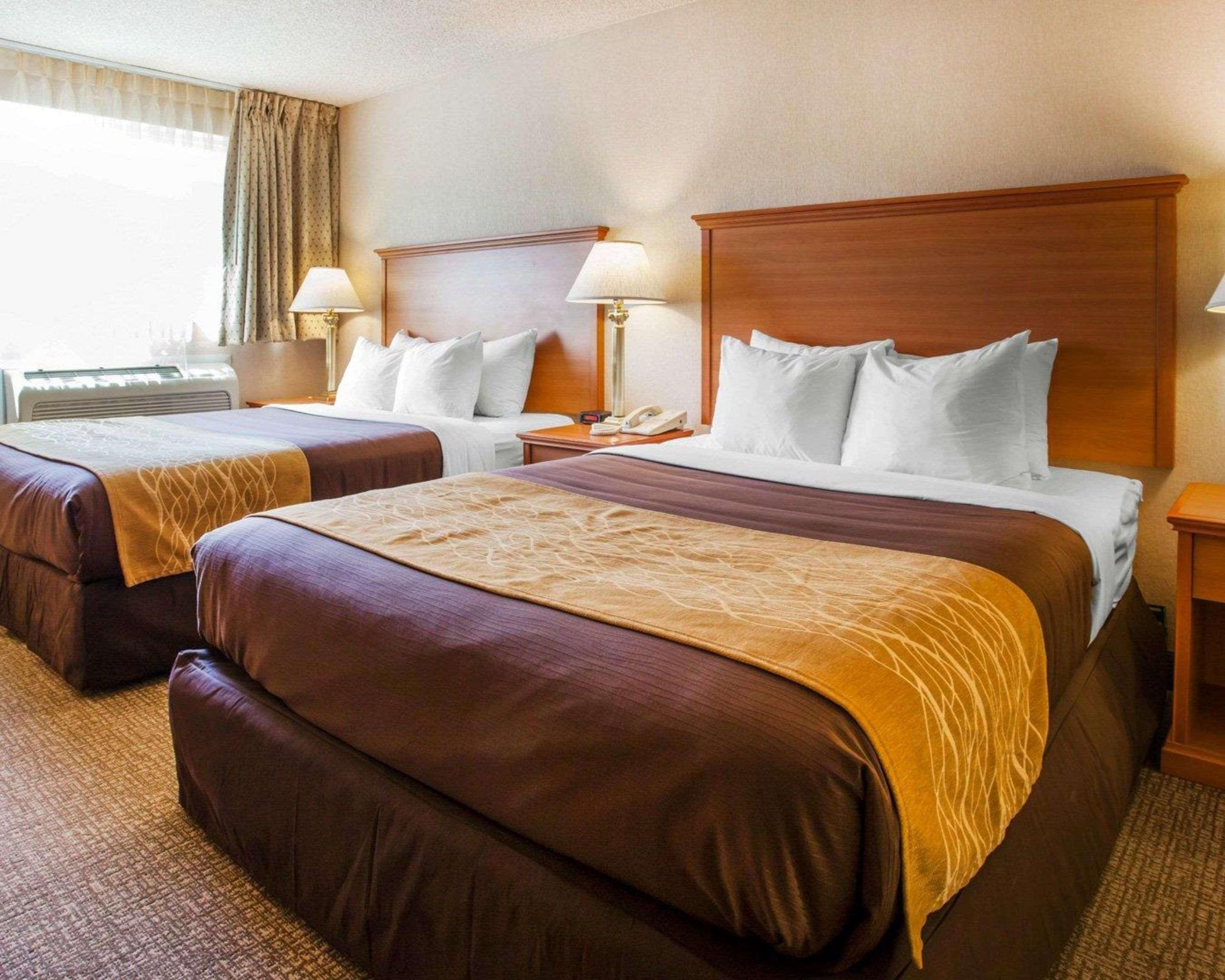 Efficiency, Suite, 2 Queen Beds