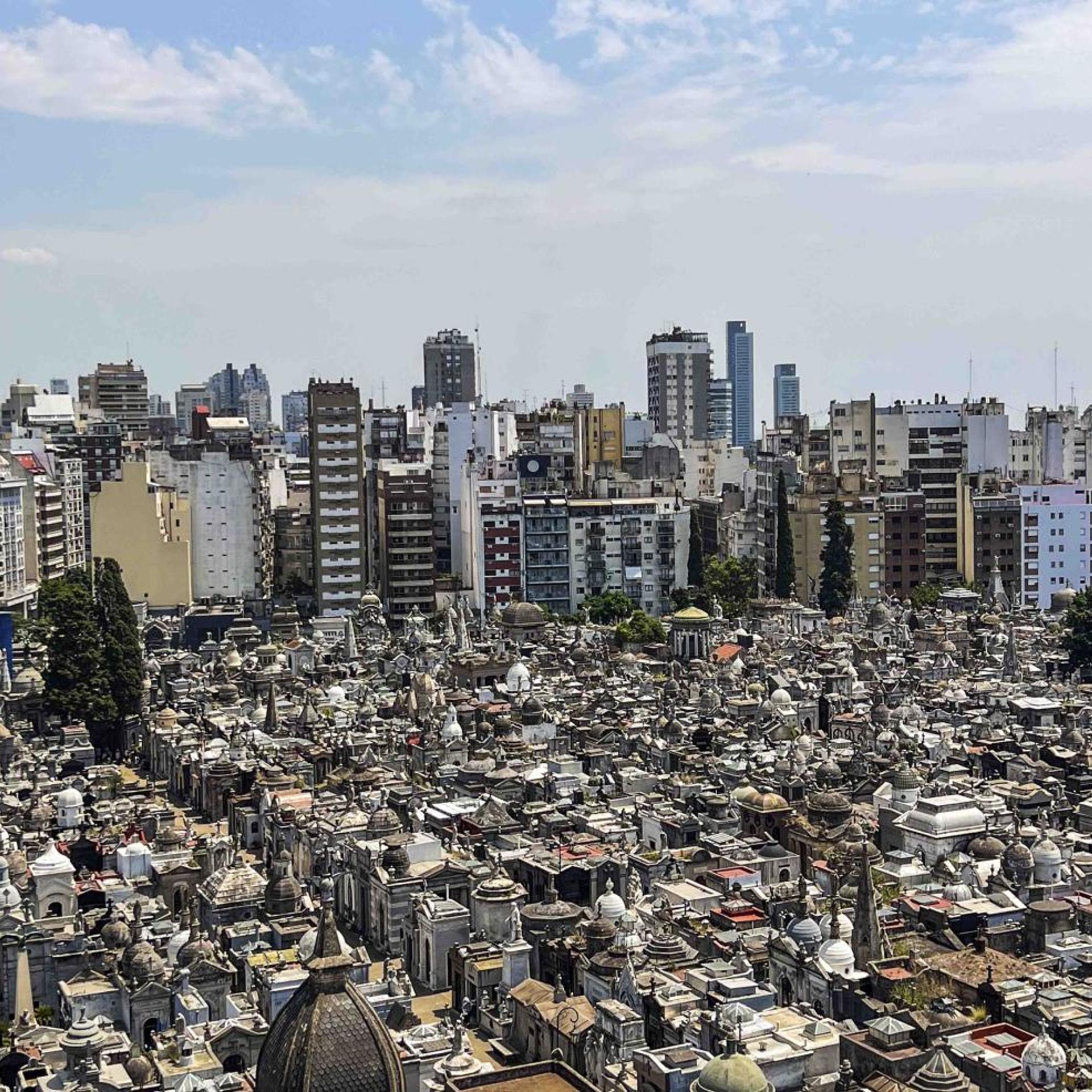 Cyan Recoleta 41/54