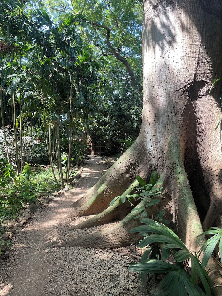 Jungle Paradise Beach Resort & Spa Mbweni Ruins 35/50