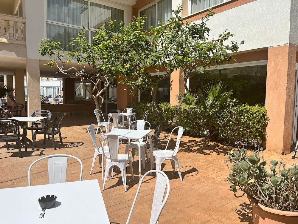 Hotel Canyamel Classic - Adults Only 49/60