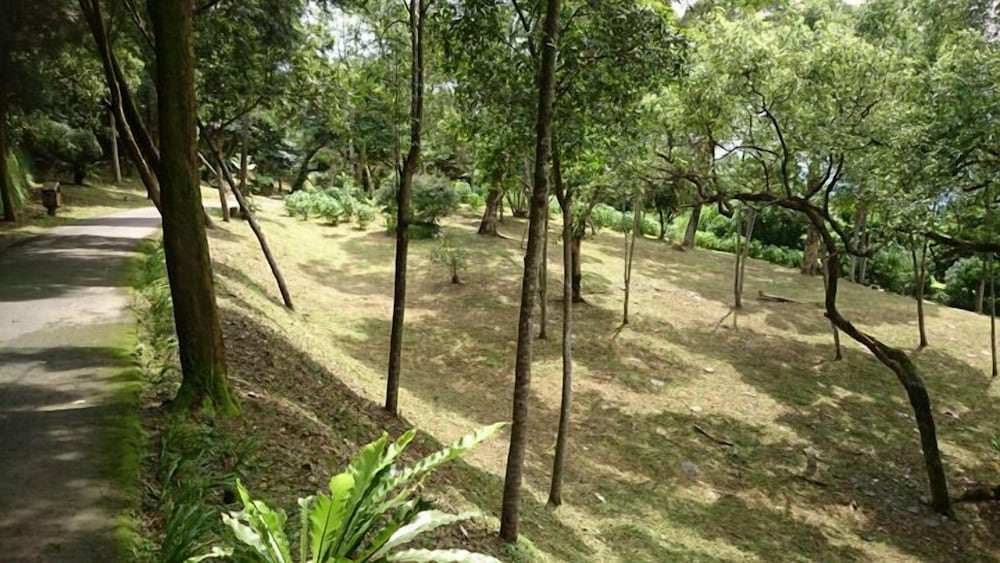 Shangrila Leisure Farm 44/50