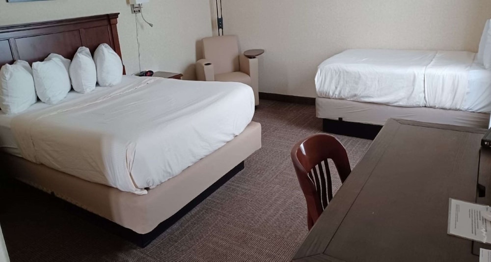 Standard, 1 Queen and 1 Single Bed