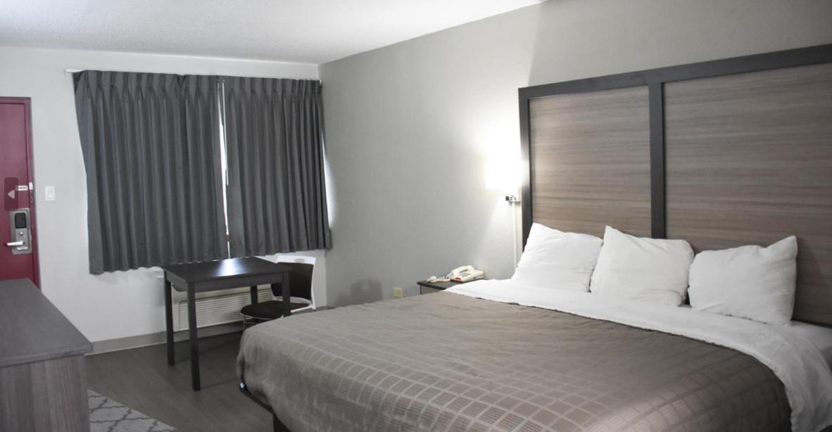 Suite, King Bed