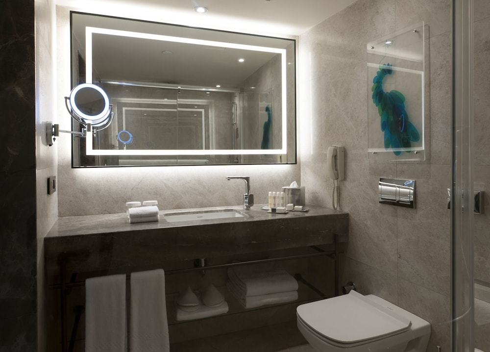Doubletree By Hilton Hotel Istanbul Sirkeci 6/81