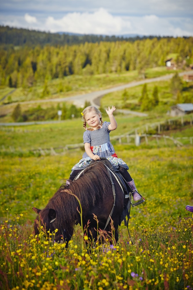 STOREFJELL RESORT HOTEL 36/50