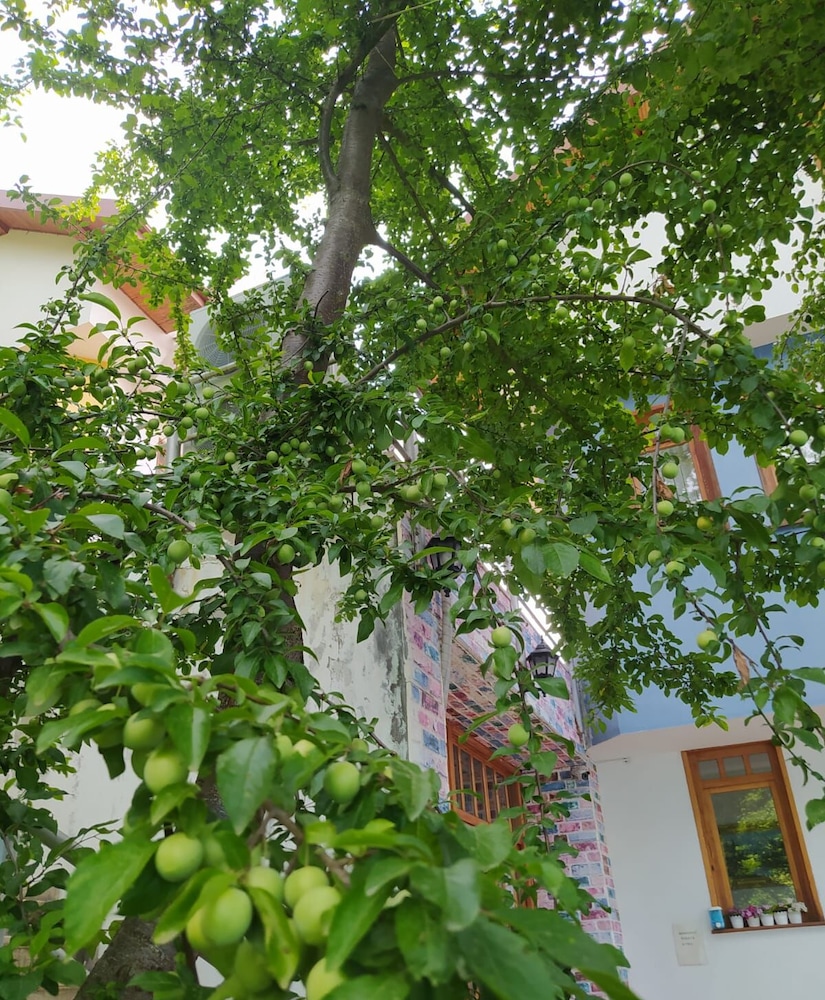 Bolu Yildiz Hotel 32/46