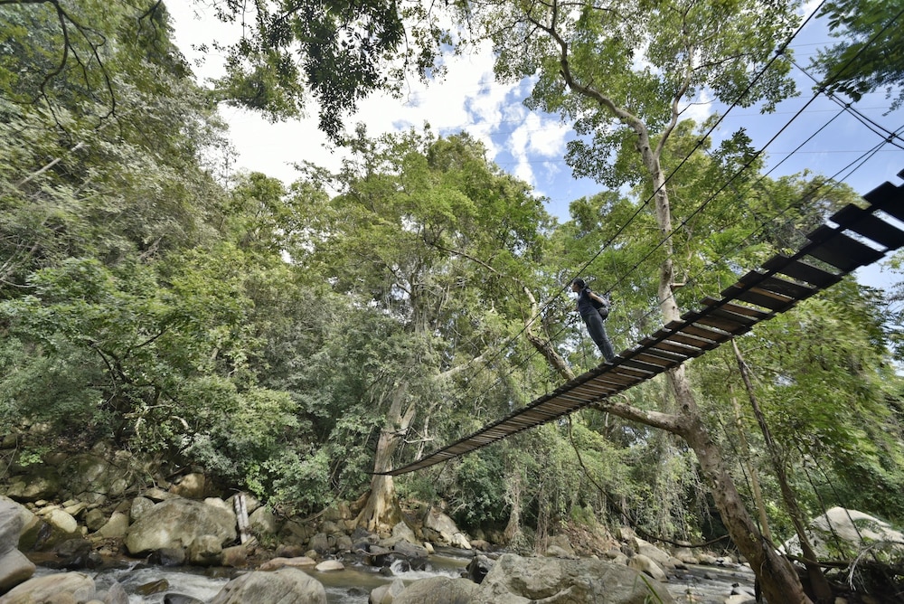 Ella Jungle Resort 25/37