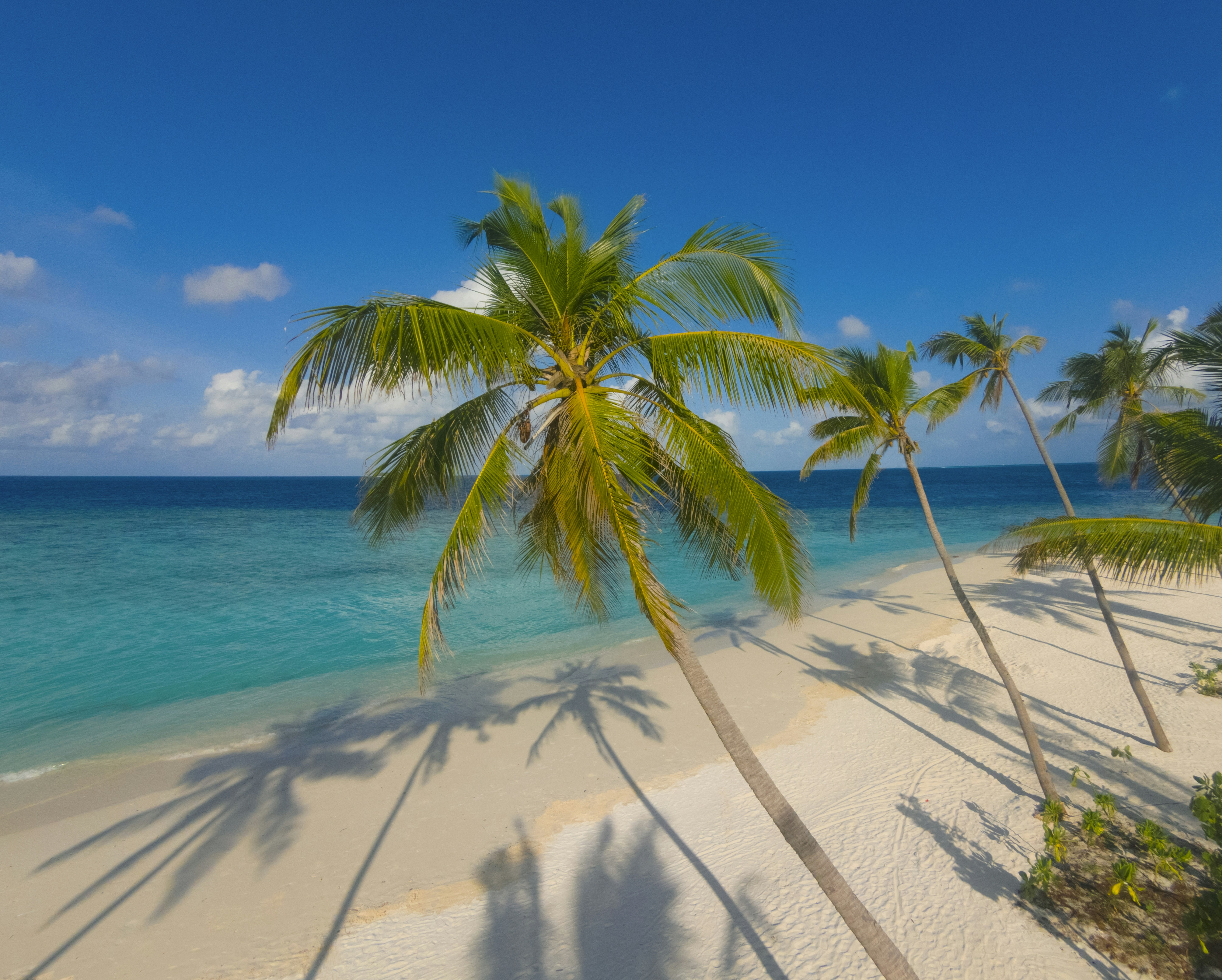 Milaidhoo Maldives 54/70