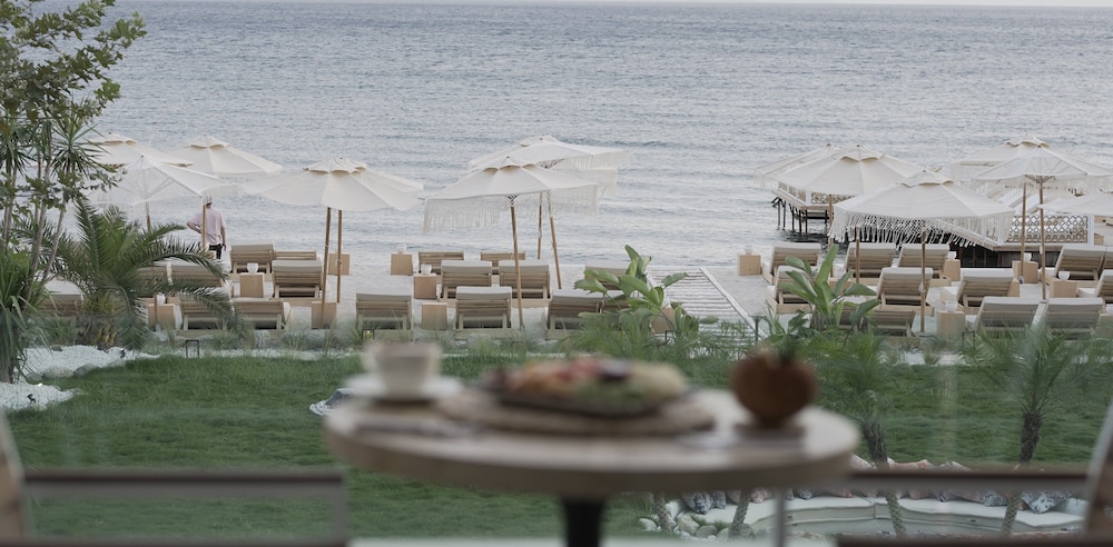 Glenn Hotel Beach 39/50