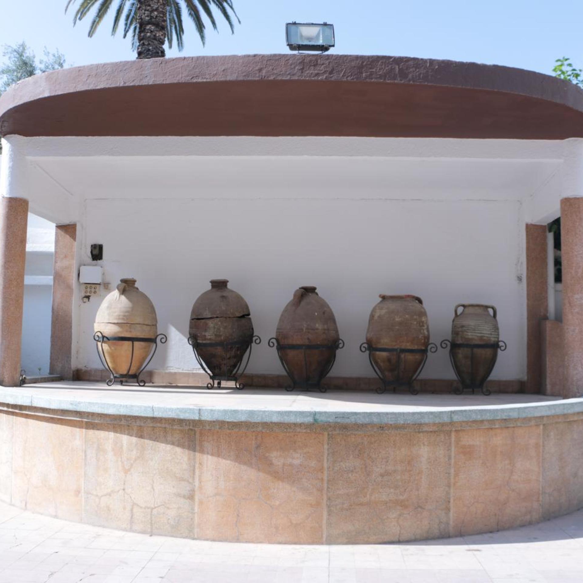 Saint Georges Tunis 5/50
