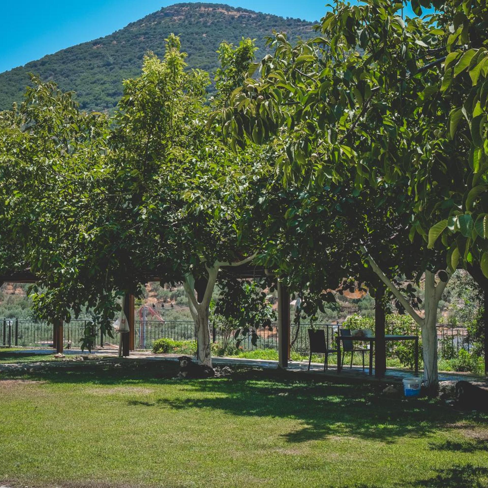 Natureland Efes Pension 42/56