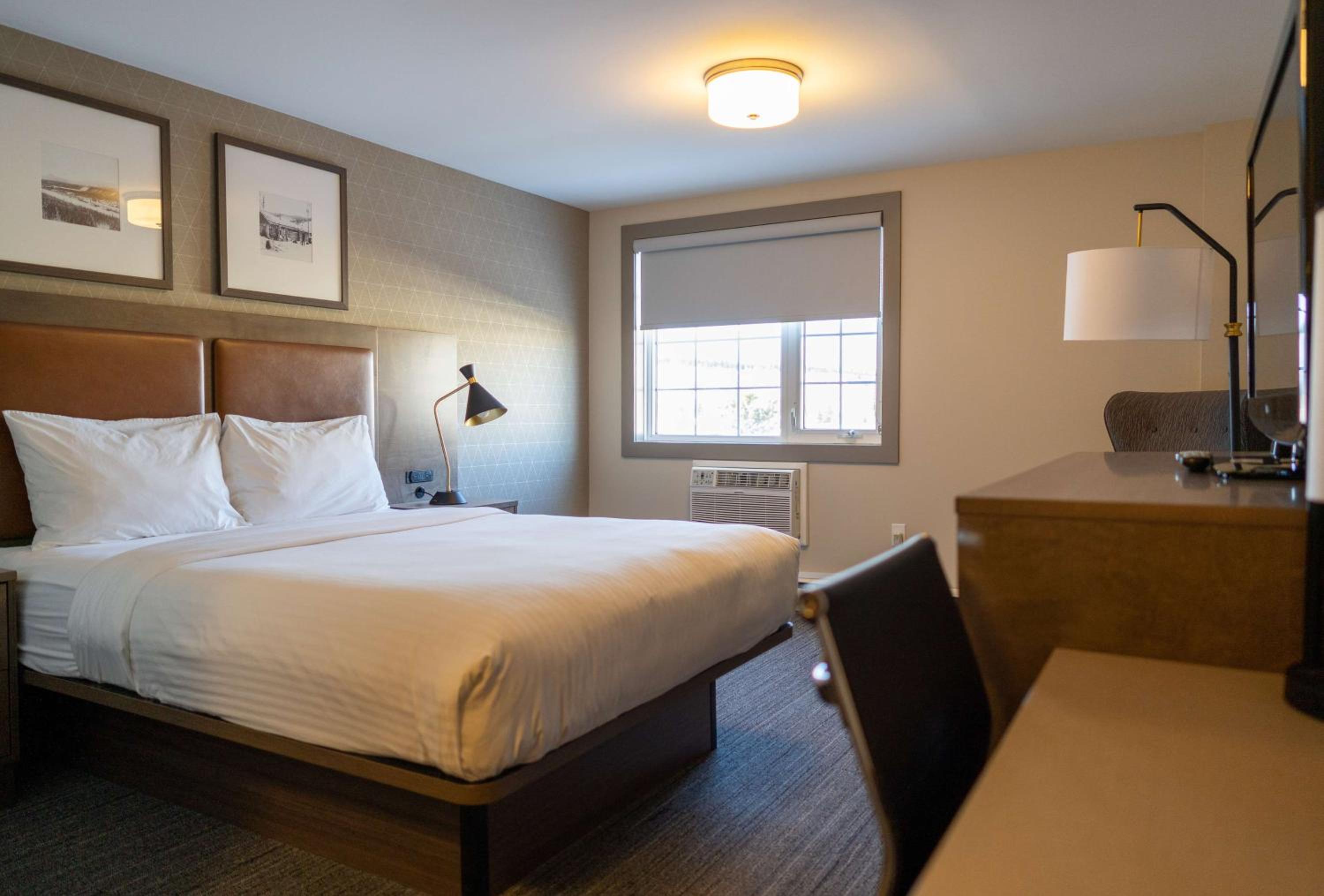 جناح بسرير كوين مع أريكة، Best Western Gold Rush Inn 2/7
