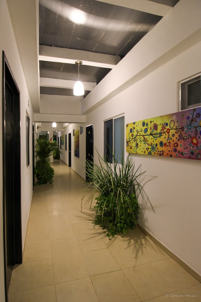 Gayser Apartamentos 36/39