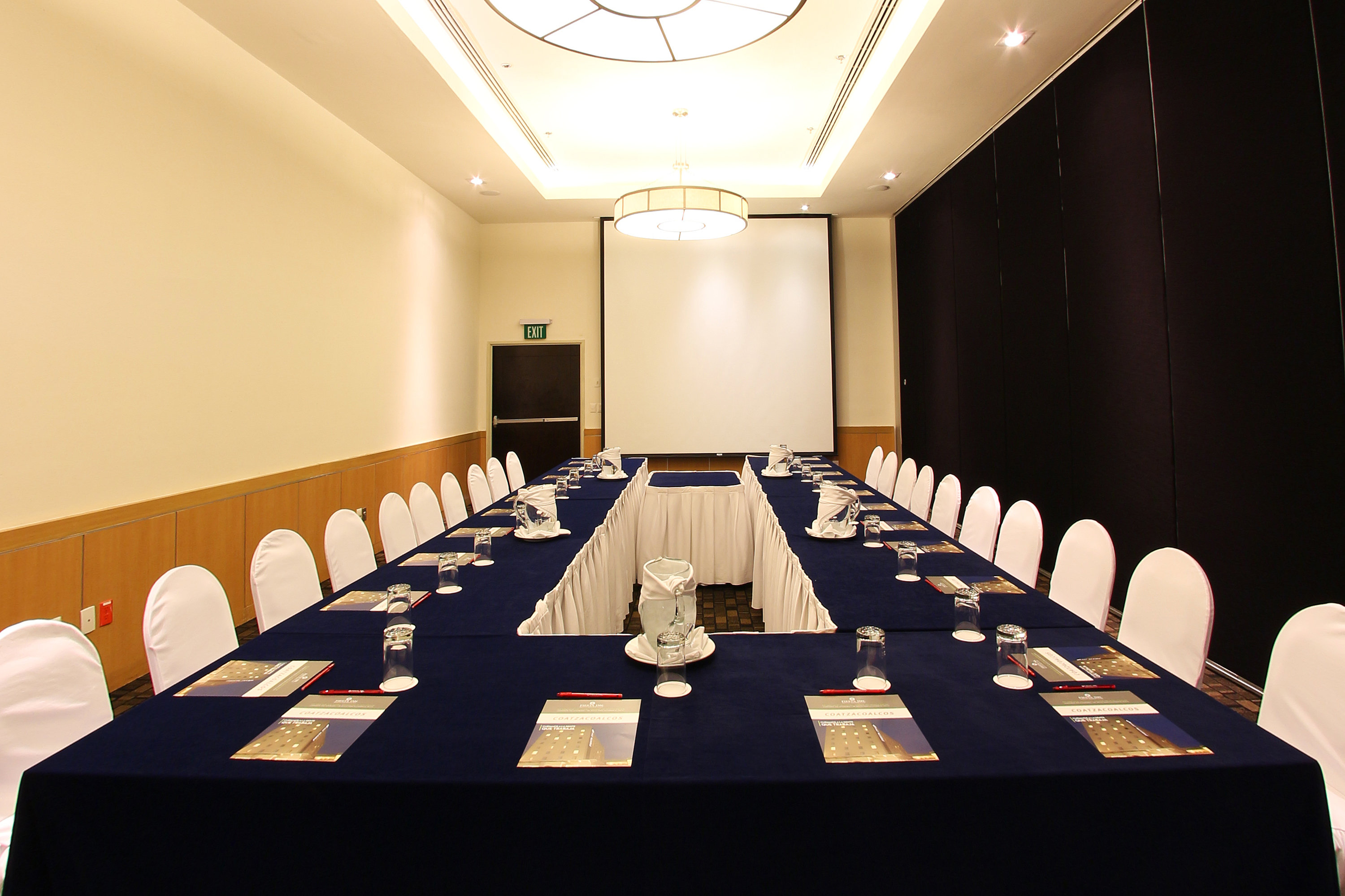Fiesta Inn Coatzacoalcos 38/52