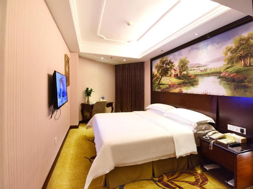 Vienna International Hotel (Changsha Shidai Dijing) 17/20