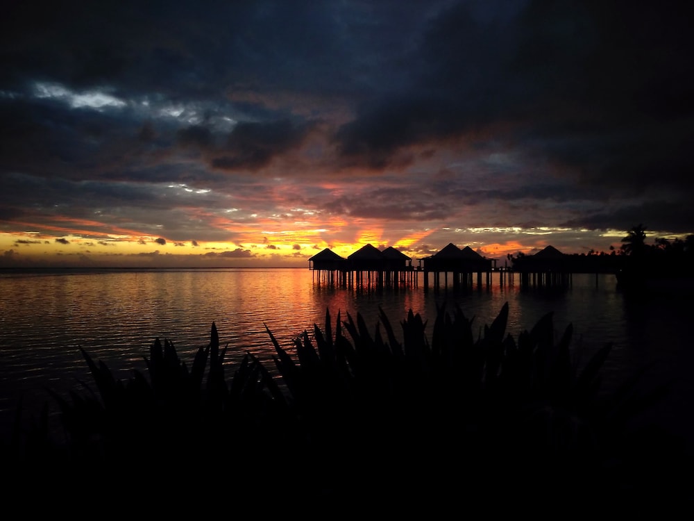 Coconuts Beach Club Resort and Spa 41/60