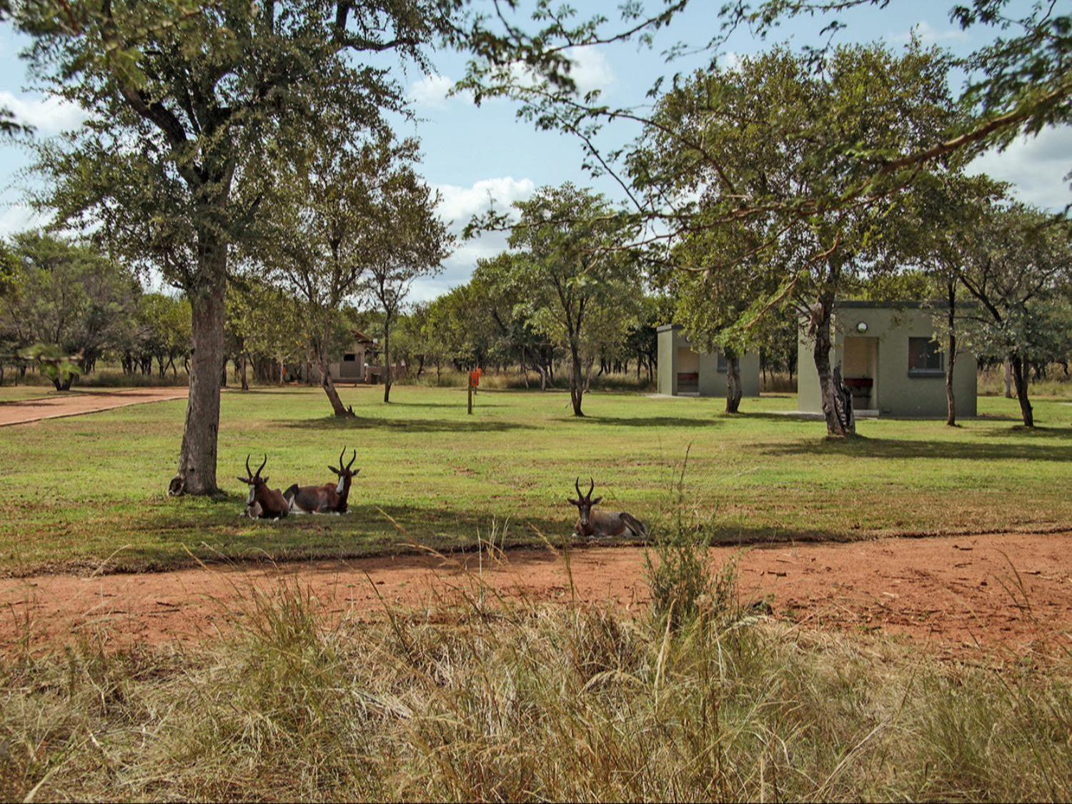 Lethabong Lodge 47/50