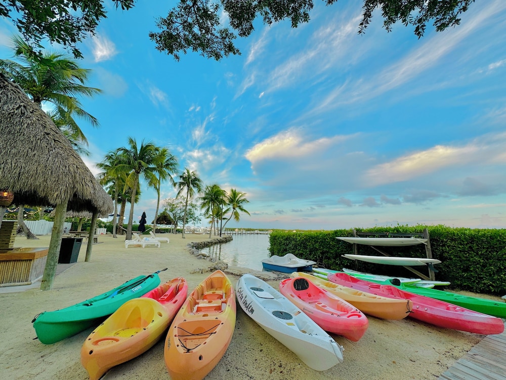 Coconut Palm Inn 40/50