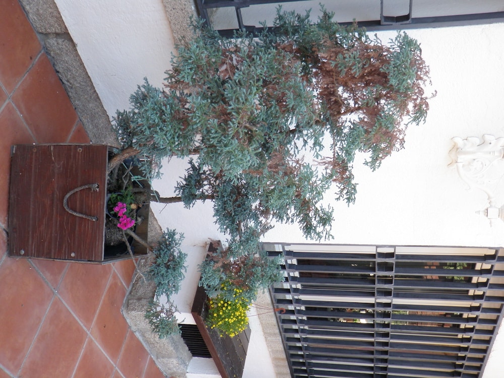 HOSTAL SIETE PICOS 6/46