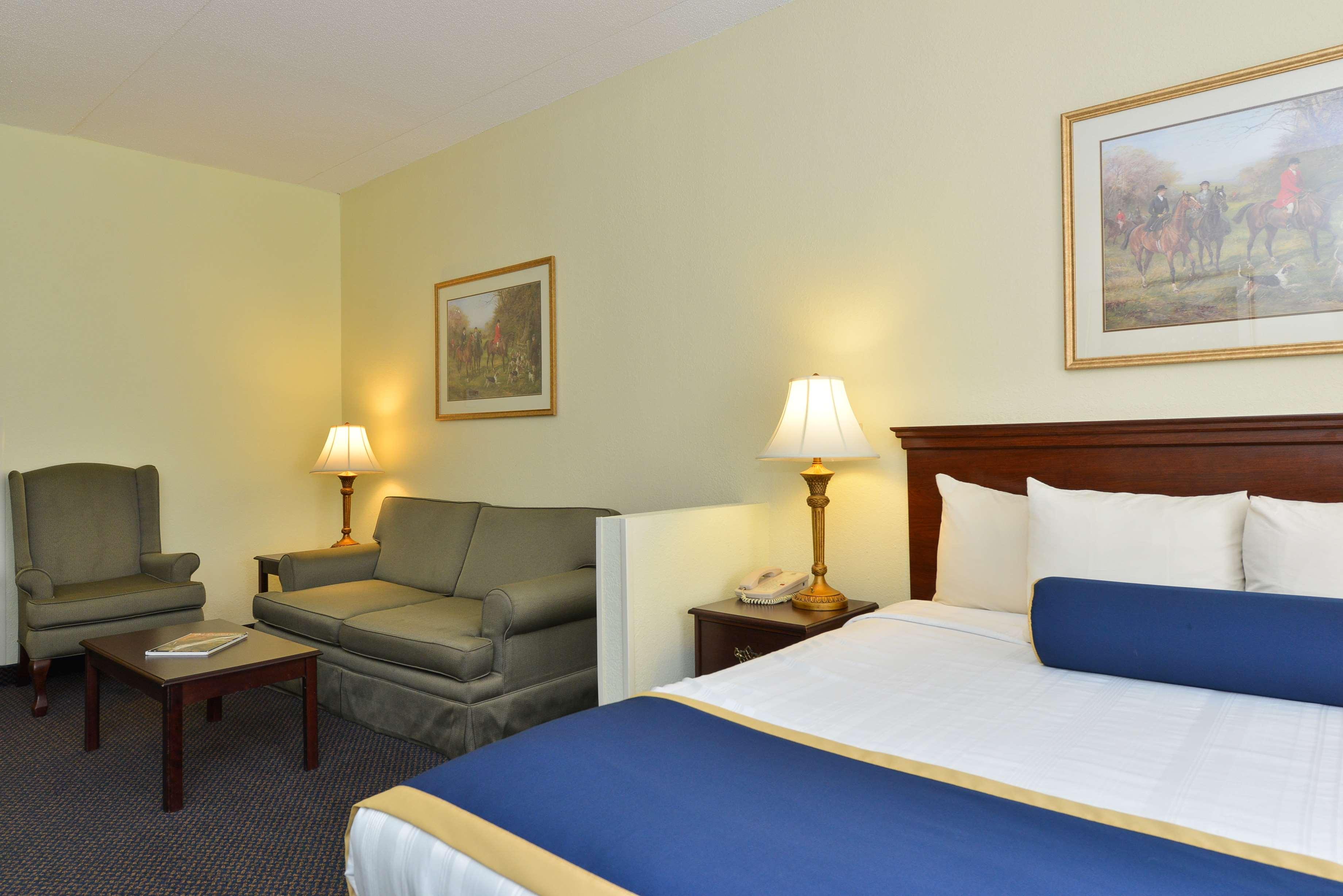 Suite, King Bed