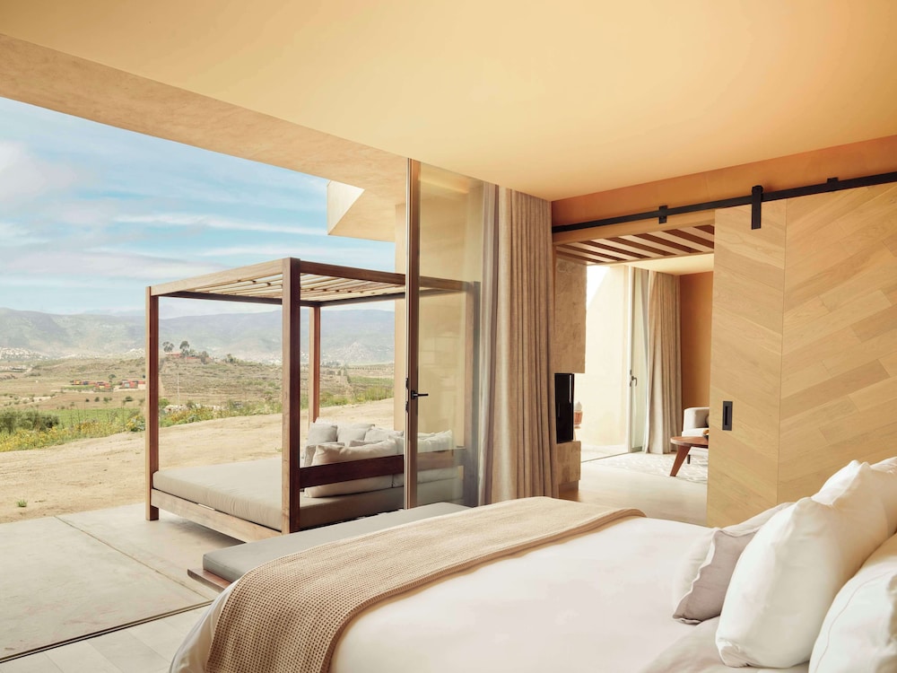 Banyan Tree Veya Valle de Guadalupe 41/91