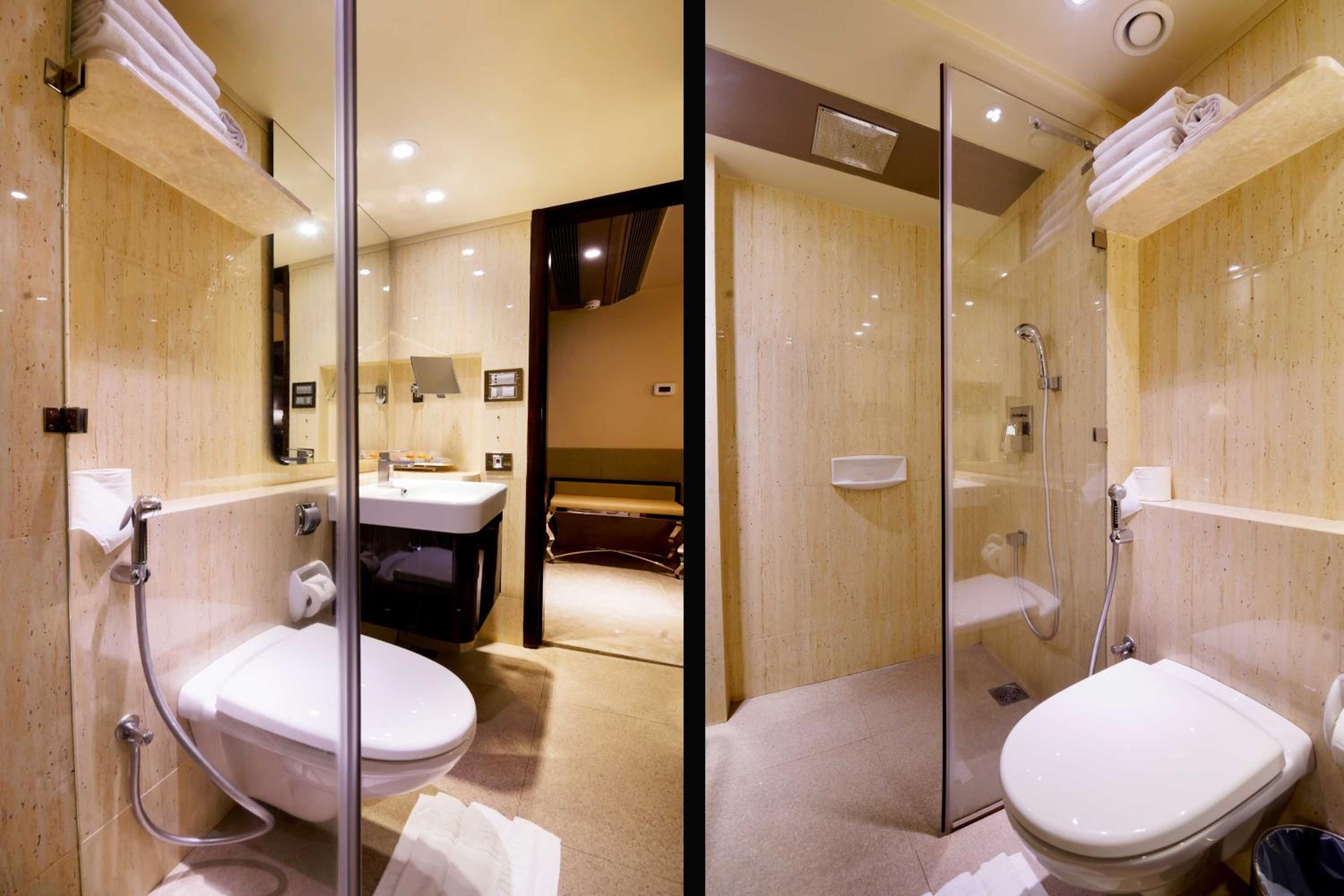 Hotel Sai Palace Grand Malad 30/41