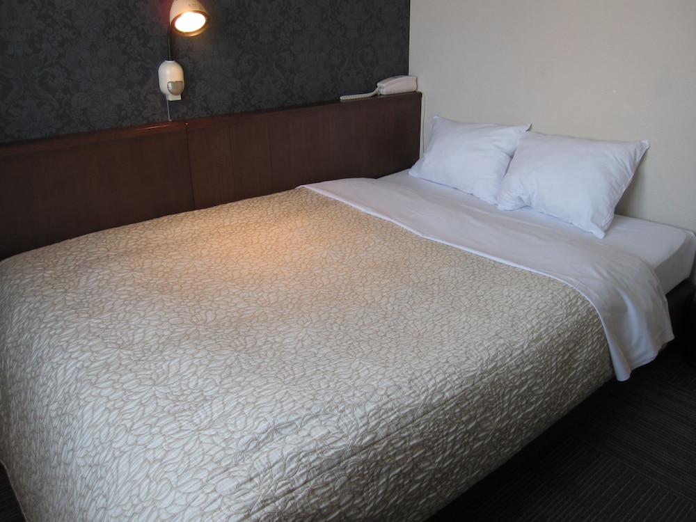 Toyohashi Station Hotel 4/49