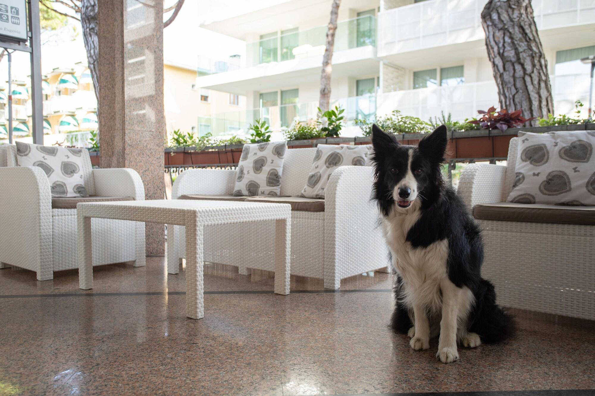 HOTEL VILLA EUGENIA 8/55