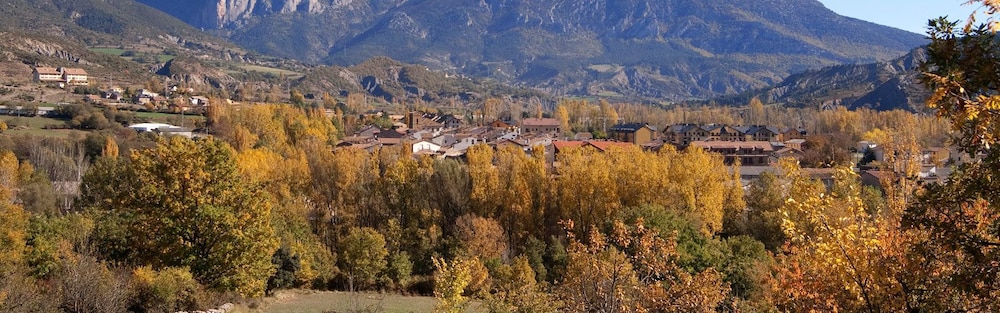 Los Nogales 36/50