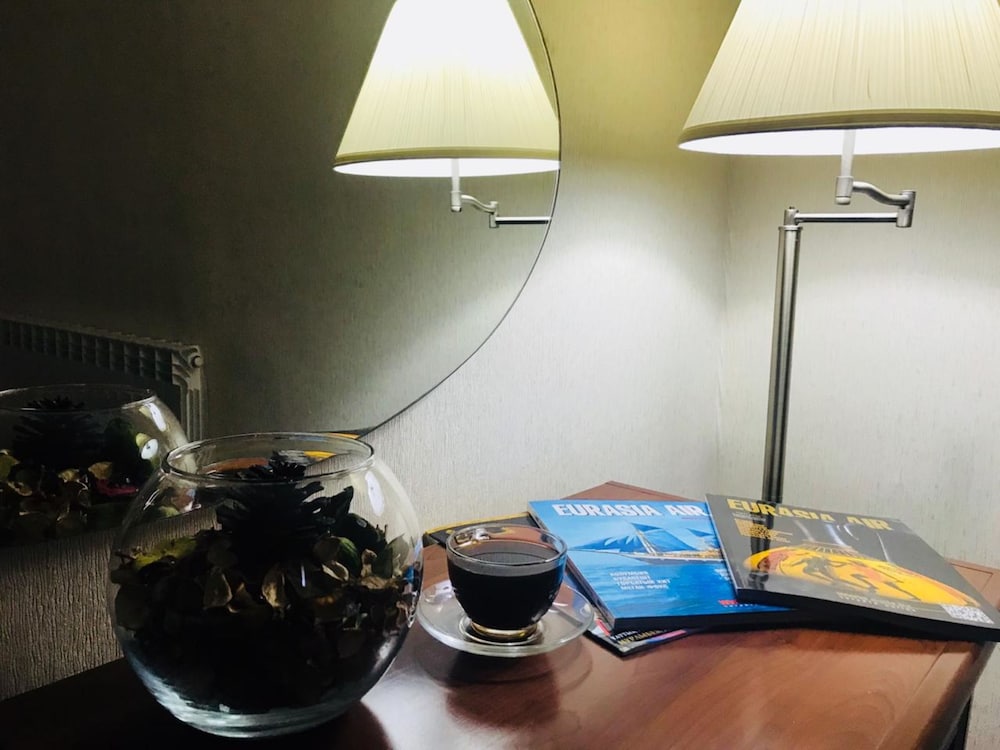 Sultan Beibarys酒店(Sultan Beibarys Hotel) 图片4