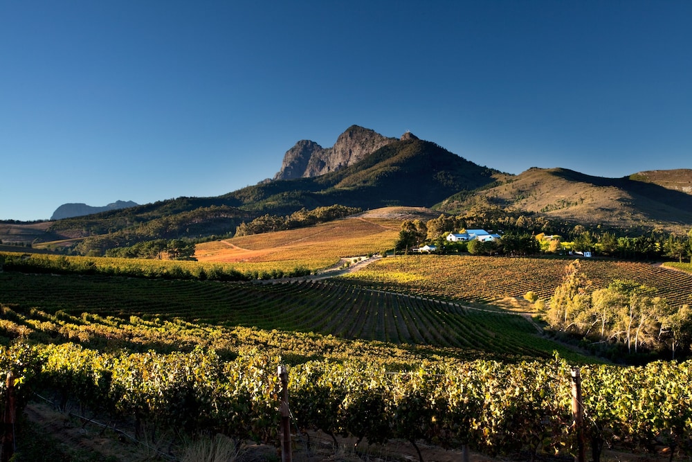 Marianne Wine Estate 54/60