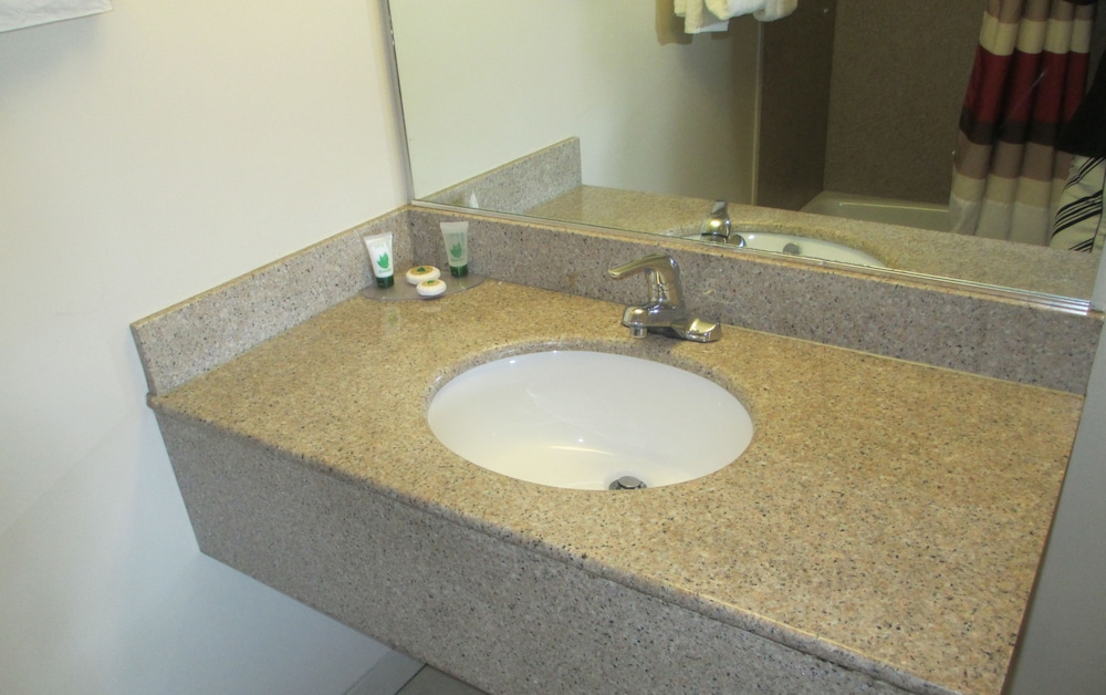 Regal Inn Chicago O Hare Airport 55/58